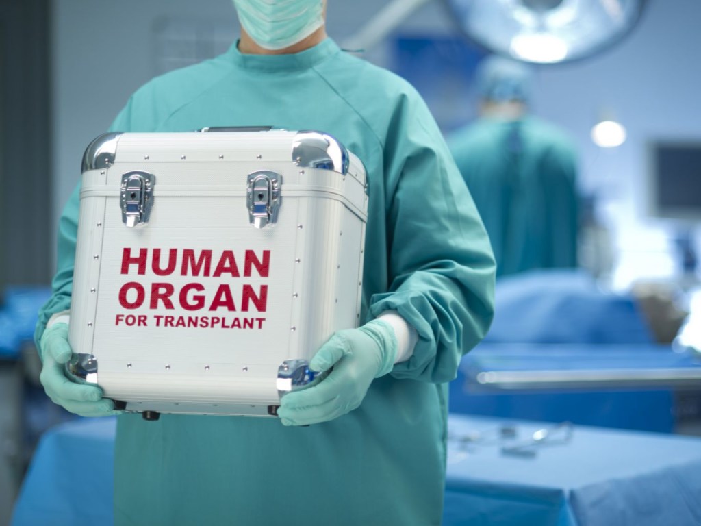 Анонс программы «Право на Голос» на тему: «Принятие закона о трансплантации органов: как будет урегулирована эта сфера?»