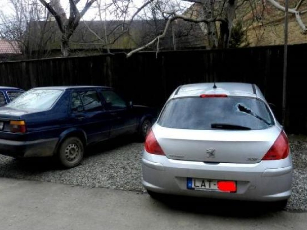 В Берегово задержали двух мужчин, которые в марте побили машины с венгерскими номерами (ФОТО)