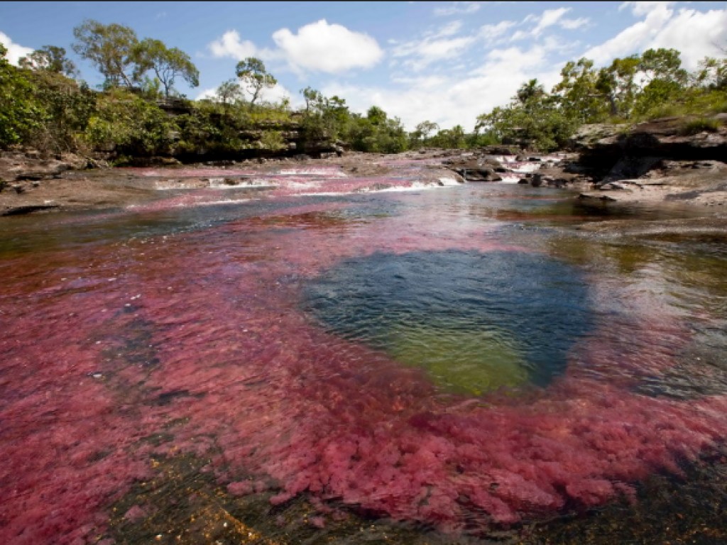 Проблемой нынешнего века станет нехватка воды — NASA