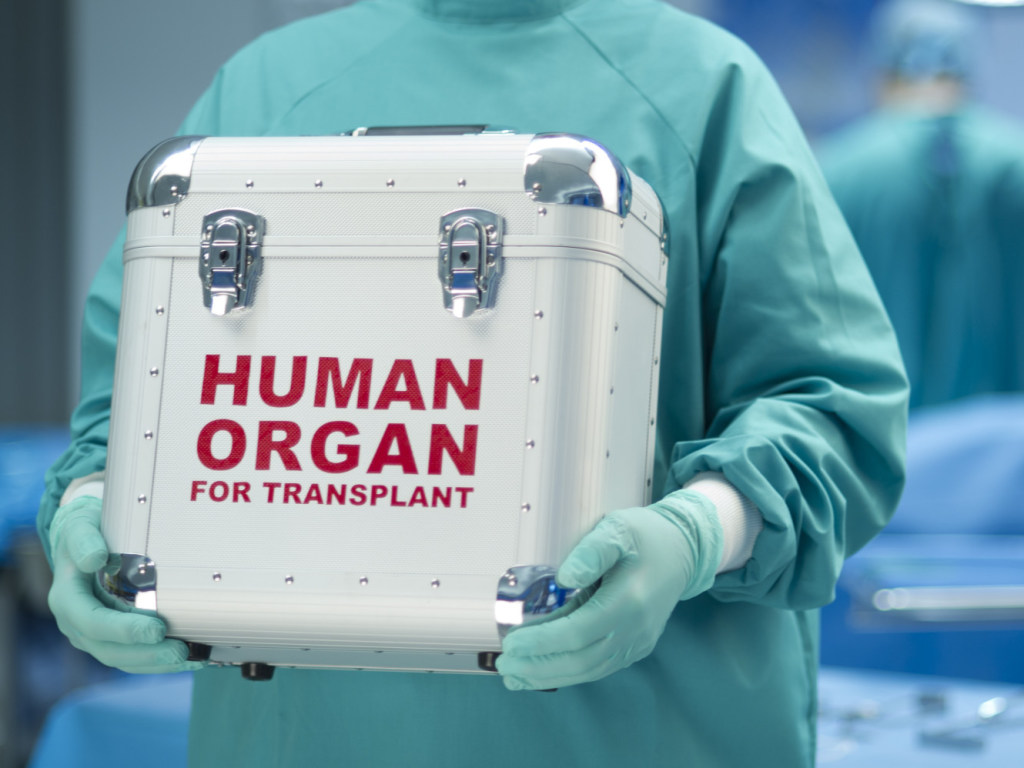 Закон о трансплантации: Органы будут продаваться не только в Украине, но и идти на экспорт – эксперт