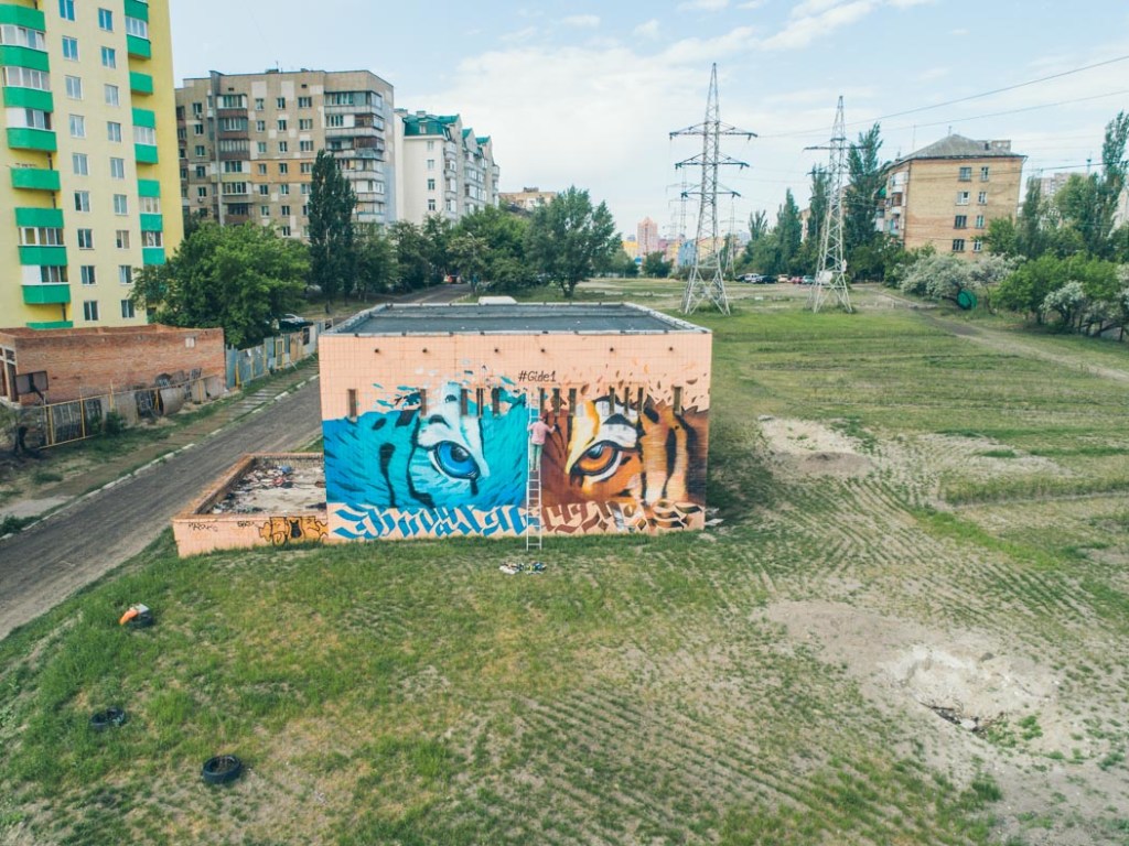 Тигр с разноцветными глазами: на левом берегу Киева появился новый мурал (ФОТО, ВИДЕО)