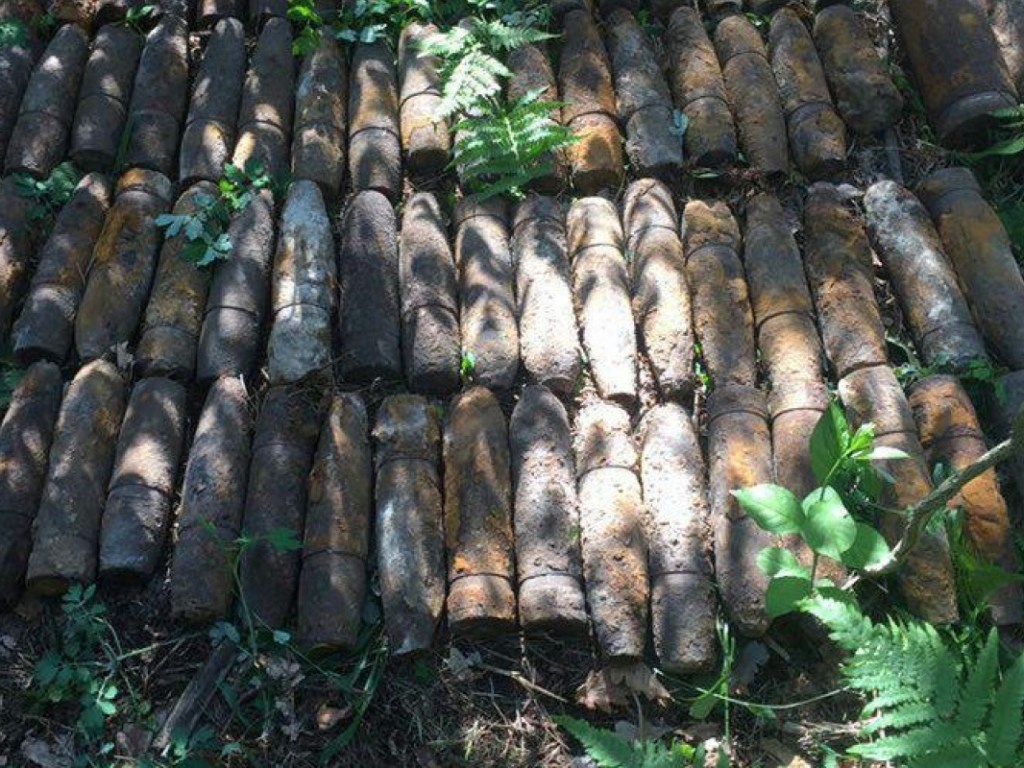 Спасатели обнаружили склад снарядов времен Второй мировой войны в Святошинском лесу (ФОТО)