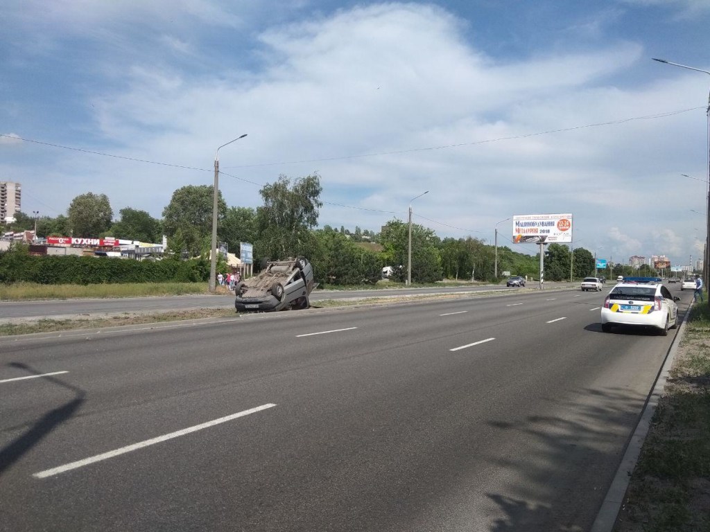 На запорожской трассе перевернулось авто из-за выбежавшей на дорогу собаки (ФОТО)