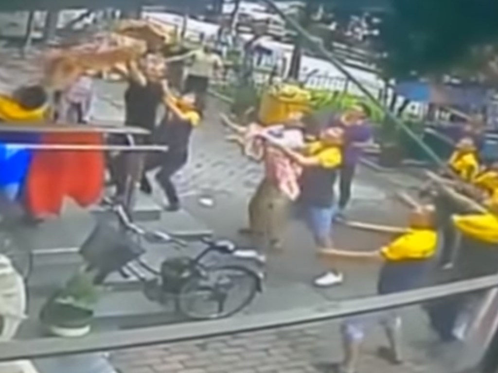 Чудесное спасение: в Китае мальчик упал из окна пятого этажа и угодил на растянутую простыню (ВИДЕО)