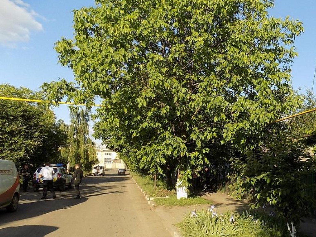 Микроавтобус сбил 6-летнюю девочку в Одесской области (ФОТО)