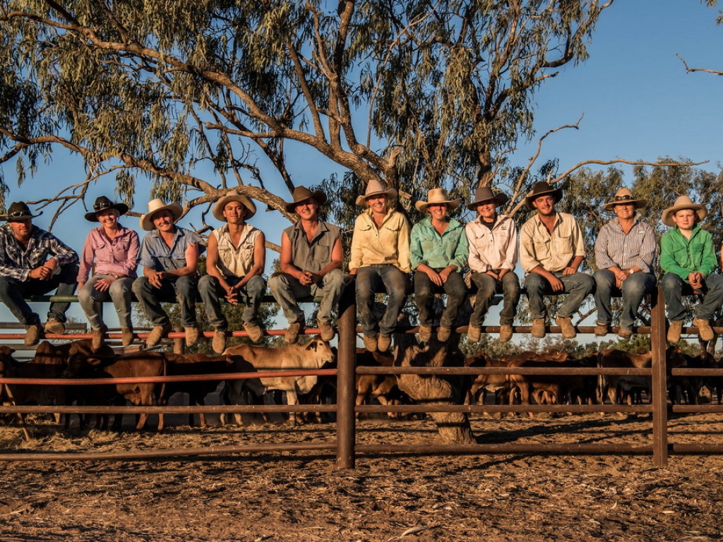 Фермеры устроили погоню за вооруженными бандитами на северо-востоке Австралии (ВИДЕО)