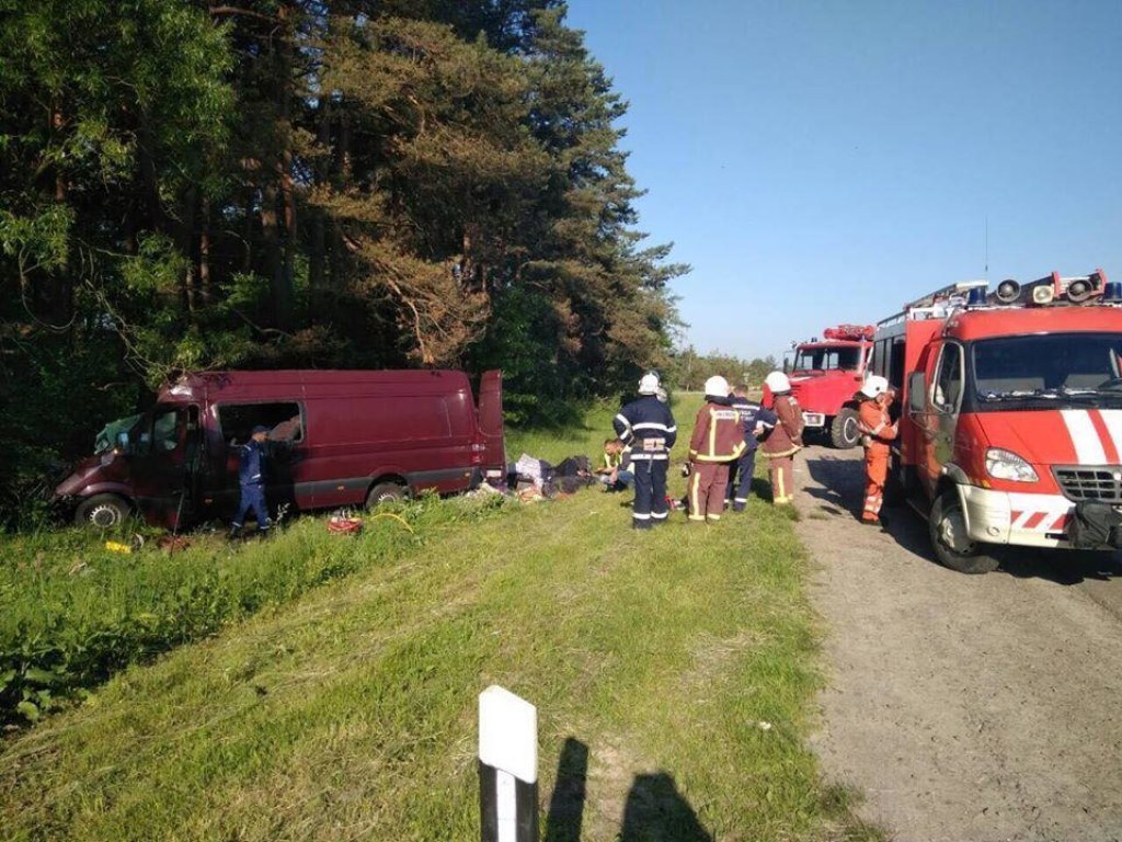 «Тела вырезали из авто»: появилось видео с места ДТП с 6 погибшими на Львовщине