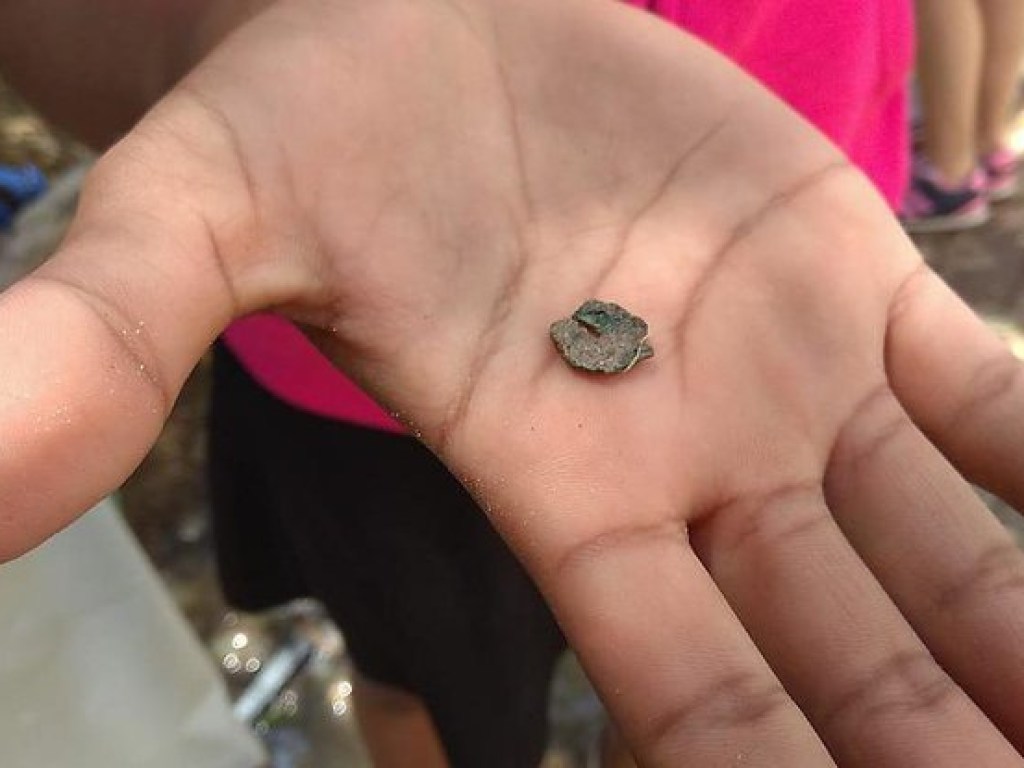 На Храмовой горе в Иерусалиме исследователи нашли редкие монеты (ФОТО)
