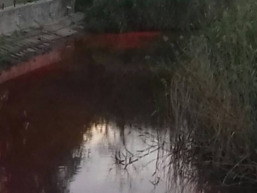 Вода окрасилась в багровый цвет: В Запорожье в реку начали сливать опасные отходы (ФОТО)