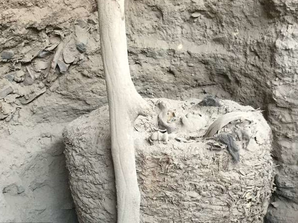 В Перу обнаружили 1000-летнюю мумию в коконе из хлопка (ФОТО)