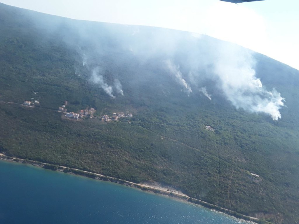 Лесной пожар на Херсонщине: огонь распространился на 580 гектаров (ФОТО)