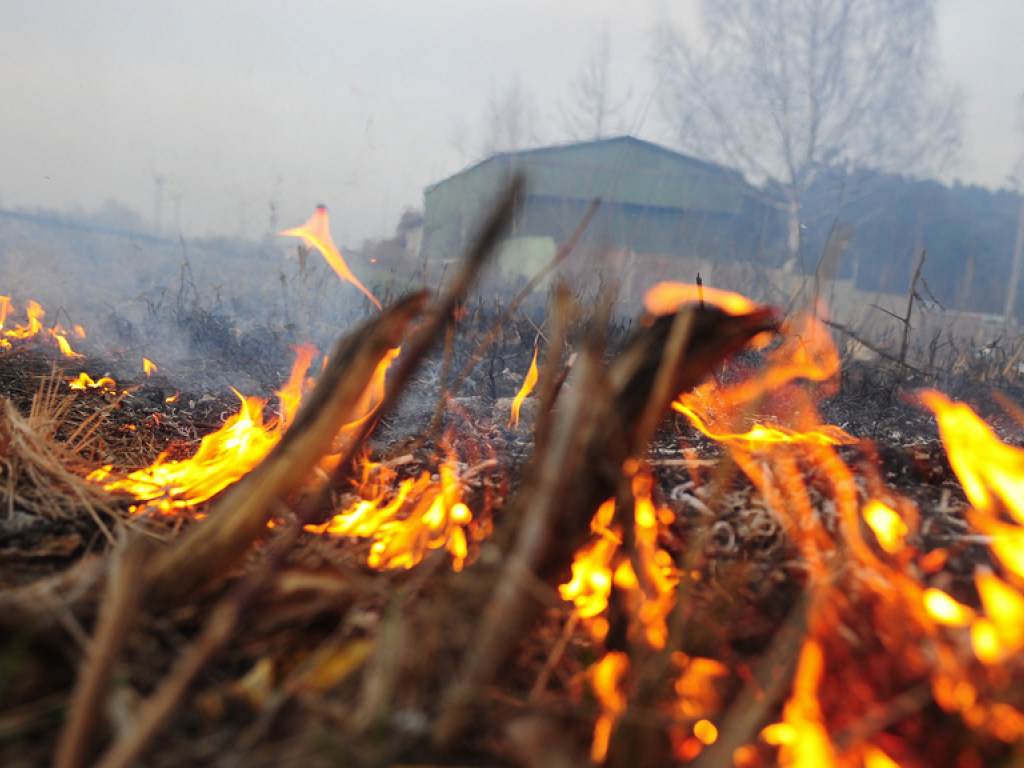 В Киеве объявлена чрезвычайная пожароопасность: как спастись, если вас окружил огонь