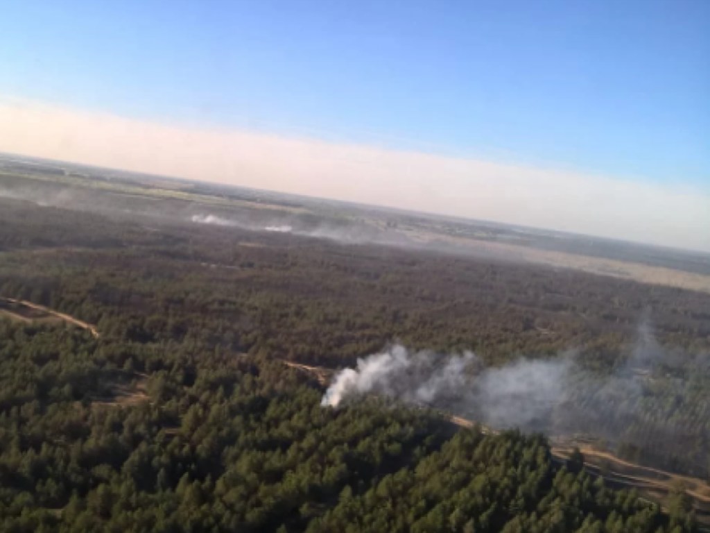 Причиной лесного пожара в Херсонской области считают поджог