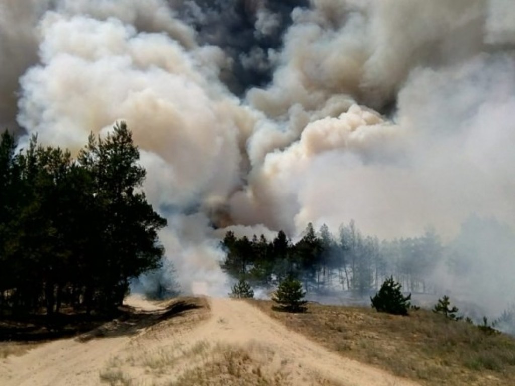 На Херсонщине до сих пор тушат масштабный лесной пожар (ФОТО)