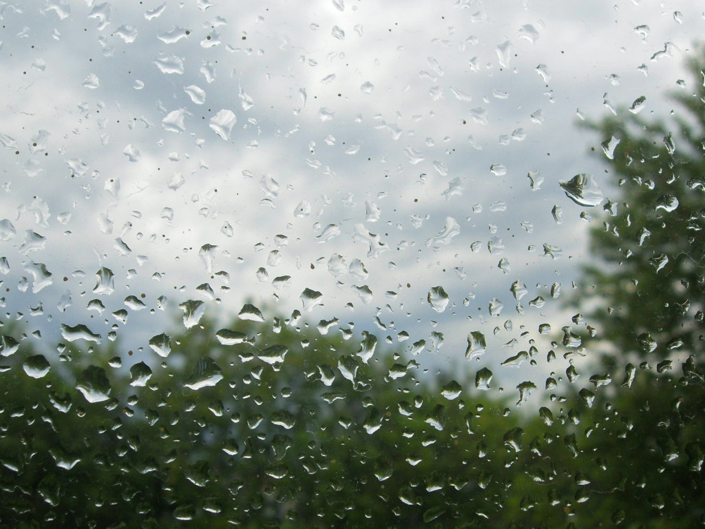 Погода на выходные: в Украине пройдут дожди с грозами