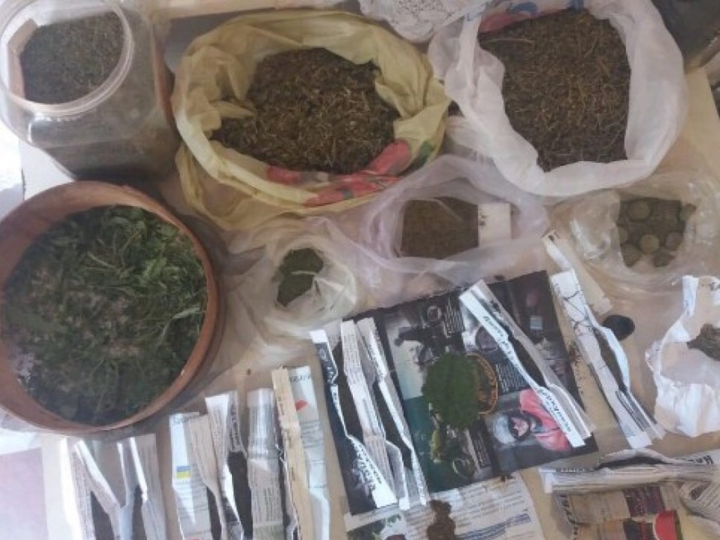 Выращивал «товар» на дому:  в Одесской области разоблачили наркоторговца (ФОТО)