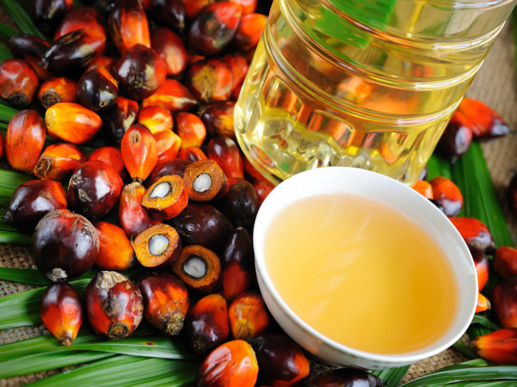 Эксперт: Содержащие пальмовое масло продукты безвредны для потребителя