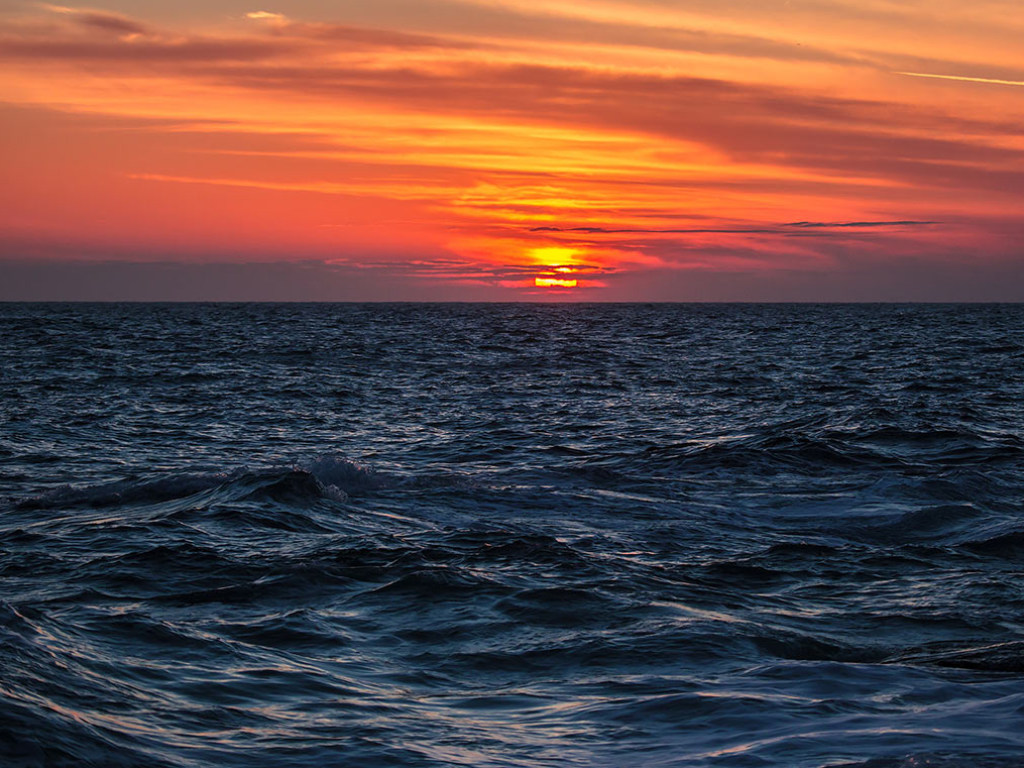 Ученые назвали Черное море главной экологической угрозой мира