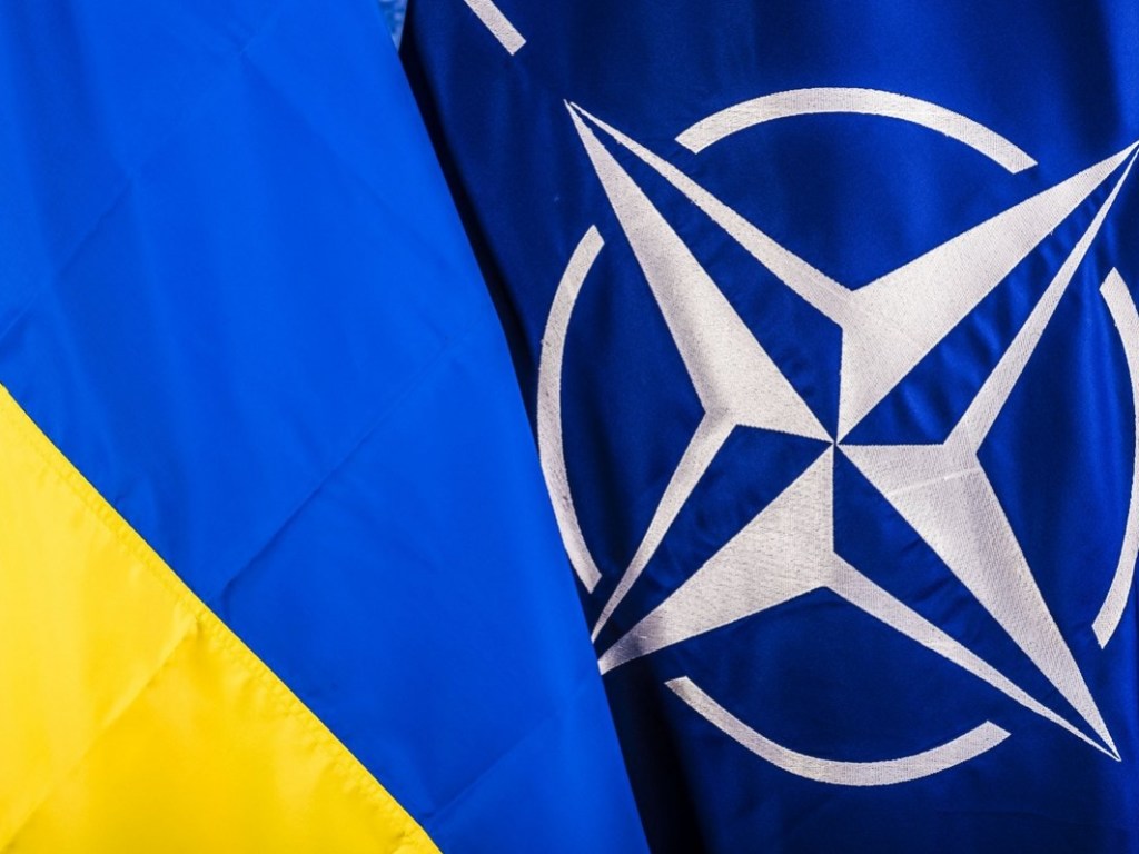 Ради НАТО Украина поменяет Конституцию осенью – БПП
