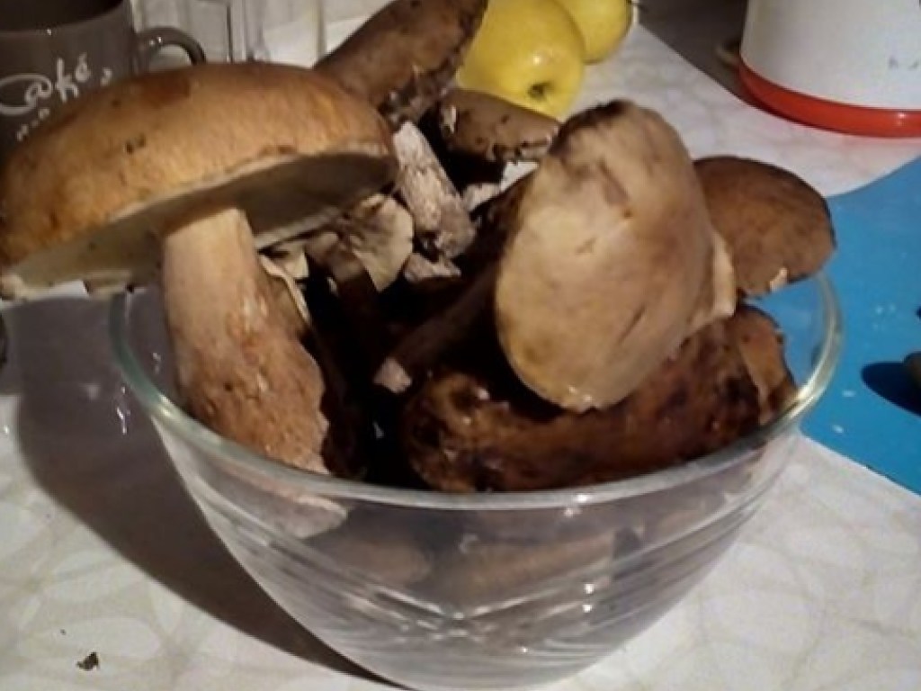 Жители Закарпатья опубликовали фото роскошного урожая грибов (ФОТО)