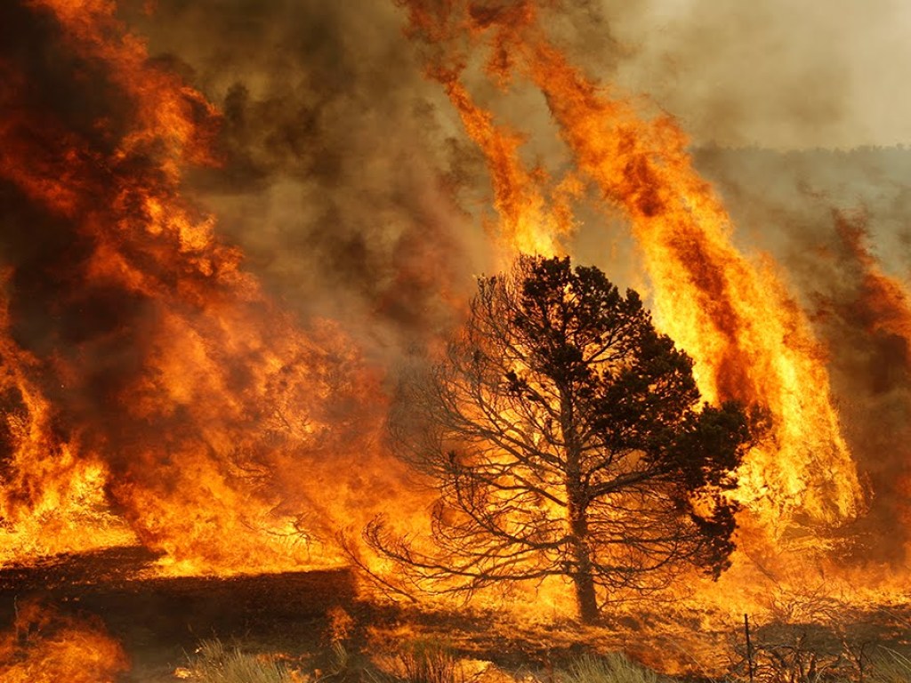 Синоптики предупредили о чрезвычайной пожарной опасности в Украине