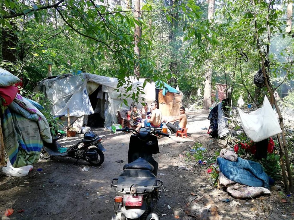 В Голосеевском парке в Киеве ромы разбили лагерь и самовольно валят лес (ФОТО)