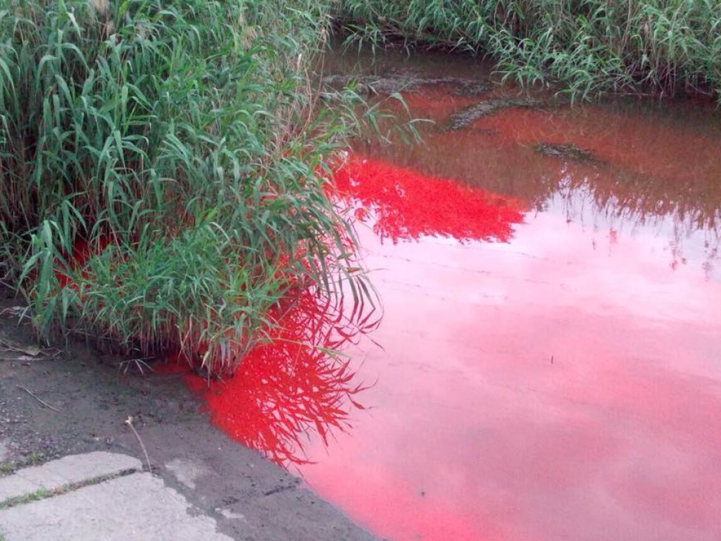 В Запорожье река приобрела кровавый цвет (ФОТО)