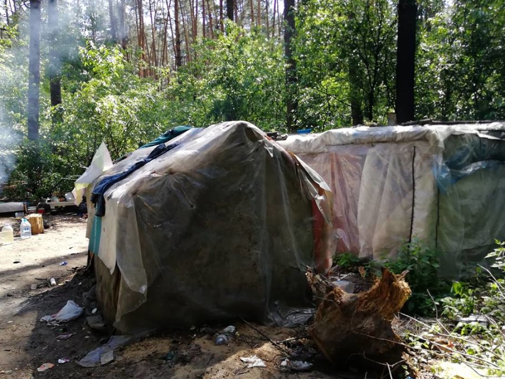 Националисты нанесли визит в лагерь ромов в Голосеевском парке в Киеве (ВИДЕО)