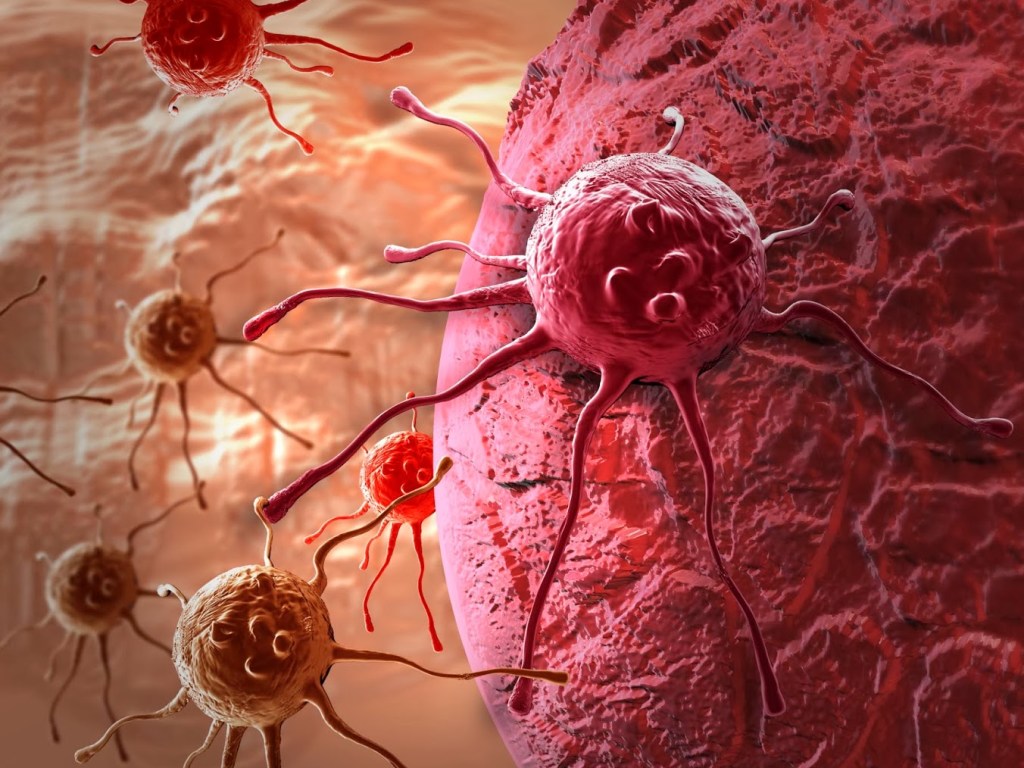 Ученые из Швеции определили причины неизлечимости рака