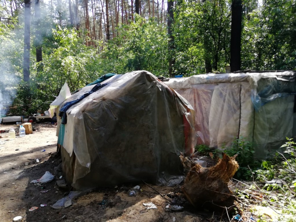 Разгон ромского табора в Голосеевском парке в Киеве: полиция открыла дело