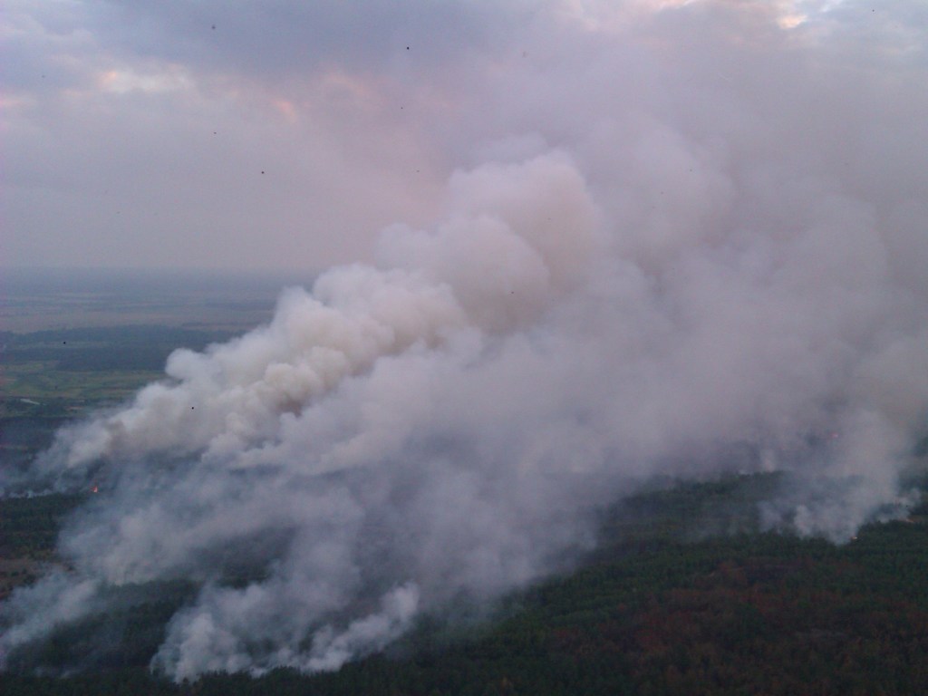 В Чернобыльской зоне зафиксировали возгорание травы &#8212; ГСЧС