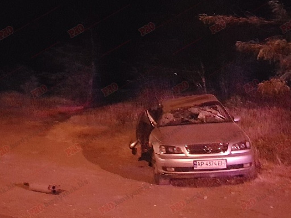 В Бердянске от наезда Opel на бетонный блок серьезно пострадала женщина (ФОТО)