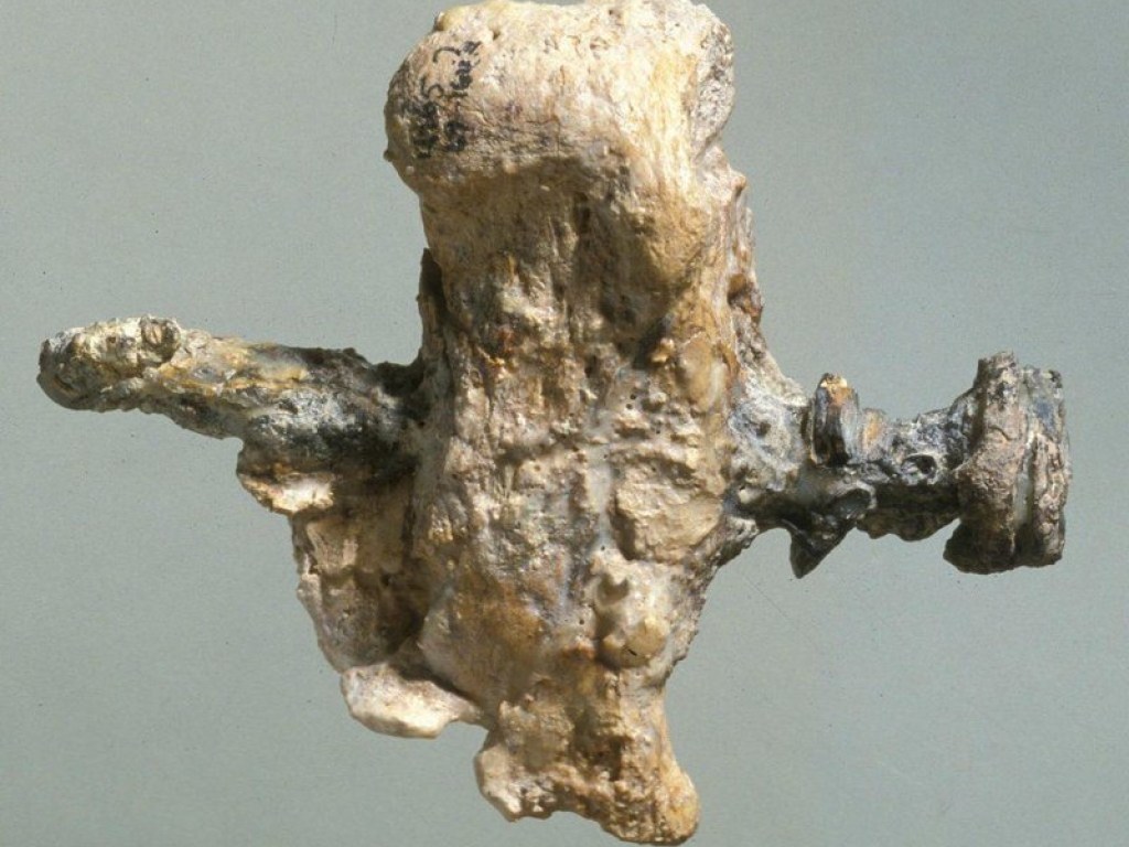 В Италии ученые отыскали останки 30-летнего мужчины, погибшего на кресте 2000 лет назад (ФОТО)