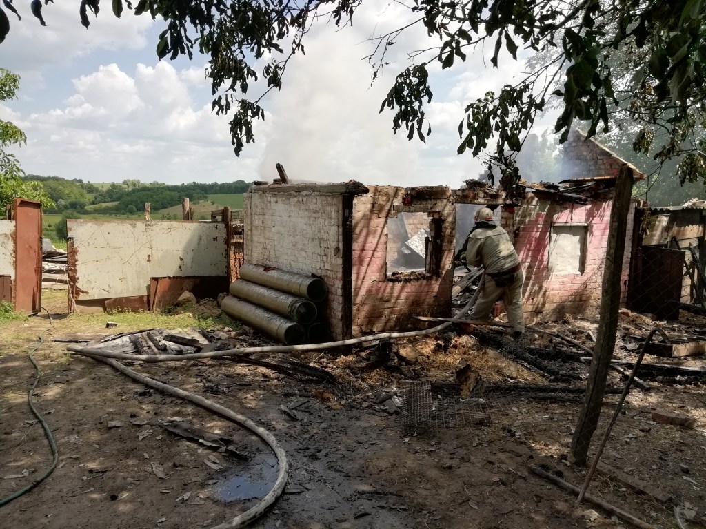 При пожаре на Киевщине массово погибли индюки и цыплята (ФОТО)