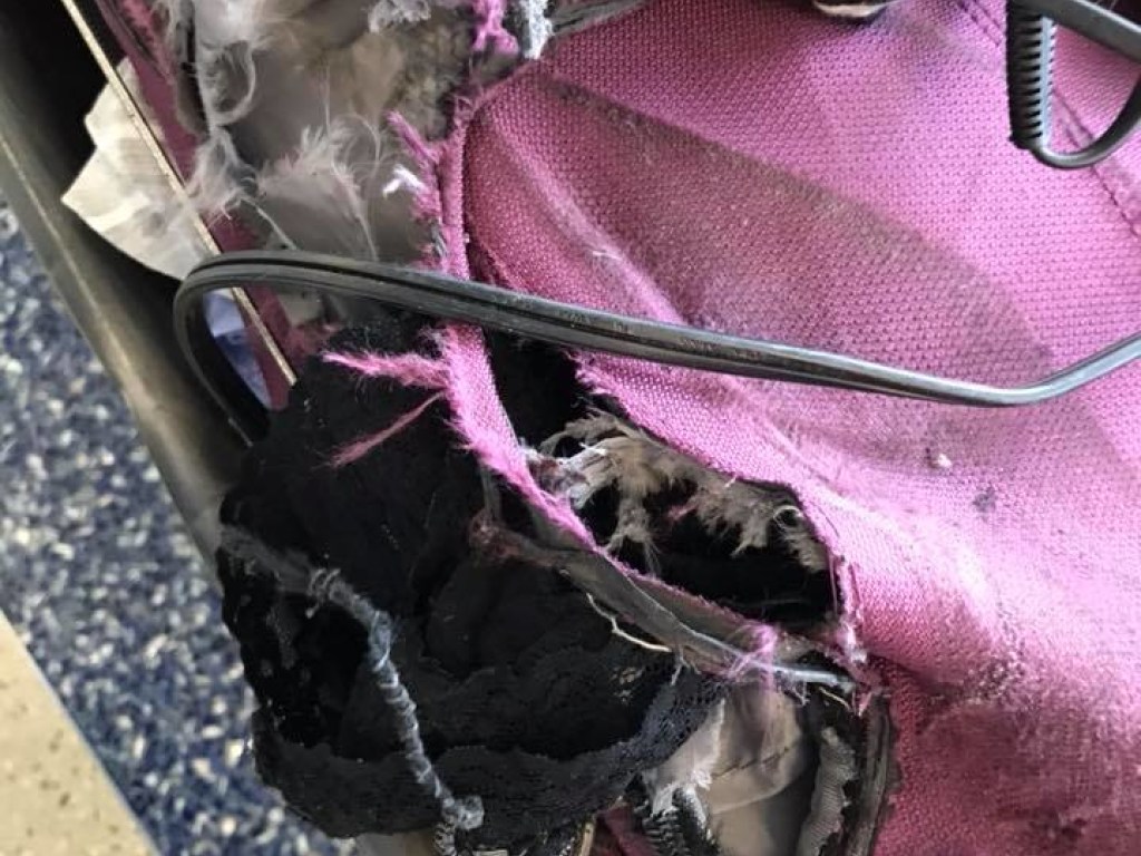Американке выдали разорванный в клочья чемодан в аэропорту США (ФОТО)