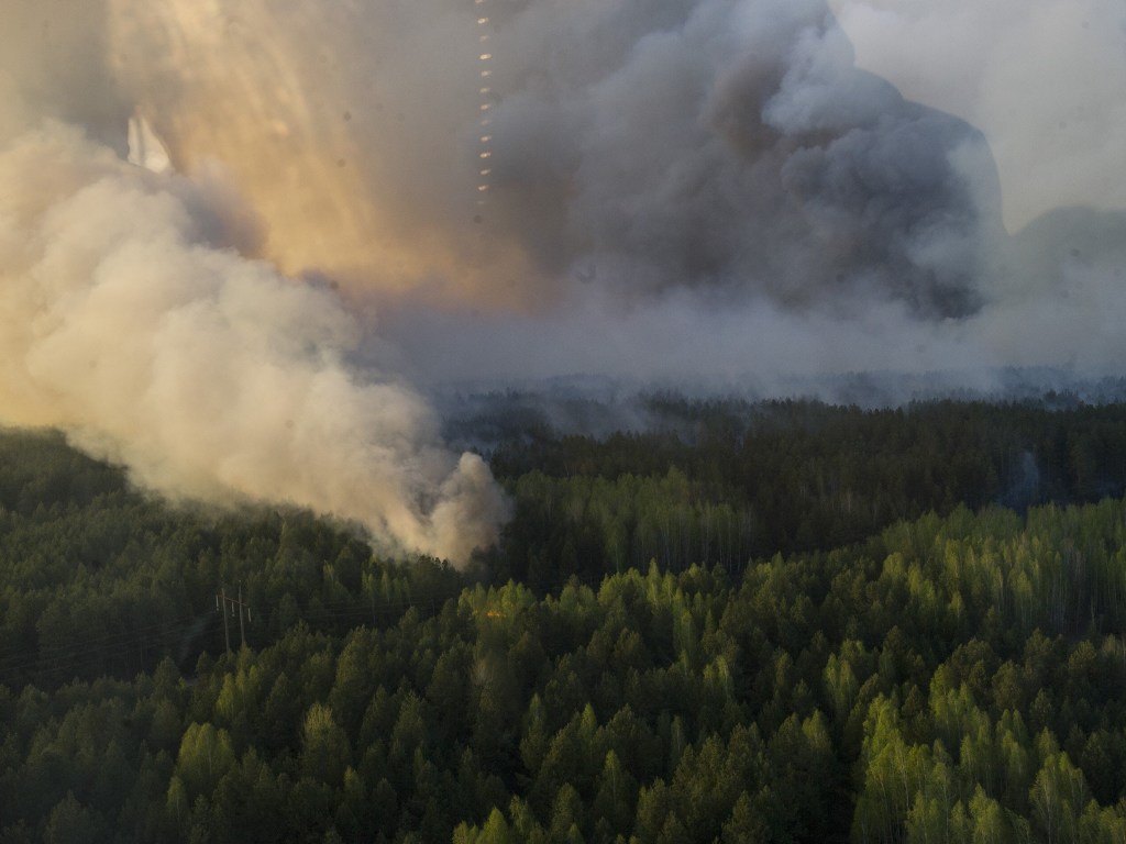 С. Зибцев:  «Пожар в Чернобыльской зоне повысил радиационный фон в местном лесу в 10 раз»