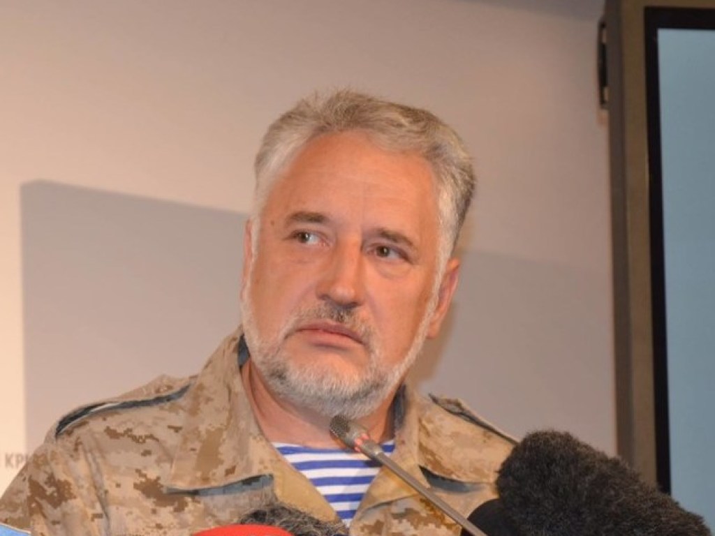 Правительство поддержало увольнение Жебривского с поста главы Донецкой ОВГА