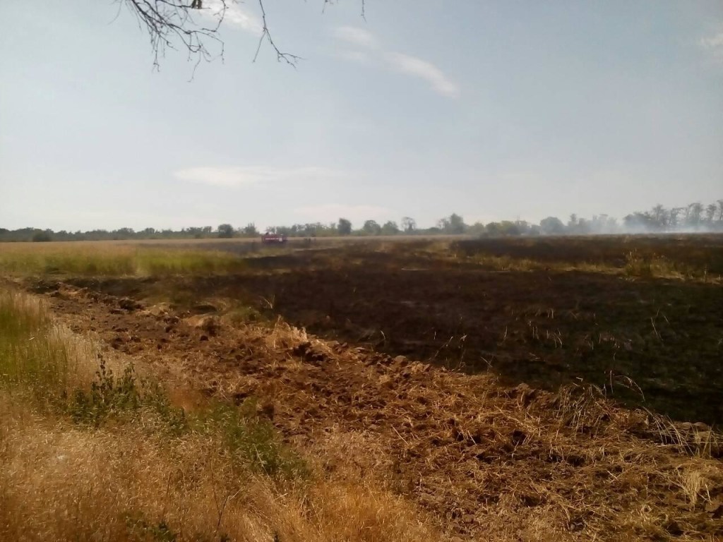 Крупный пожар произошел на Хортице: горела трава и сухая подстилка (ФОТО)