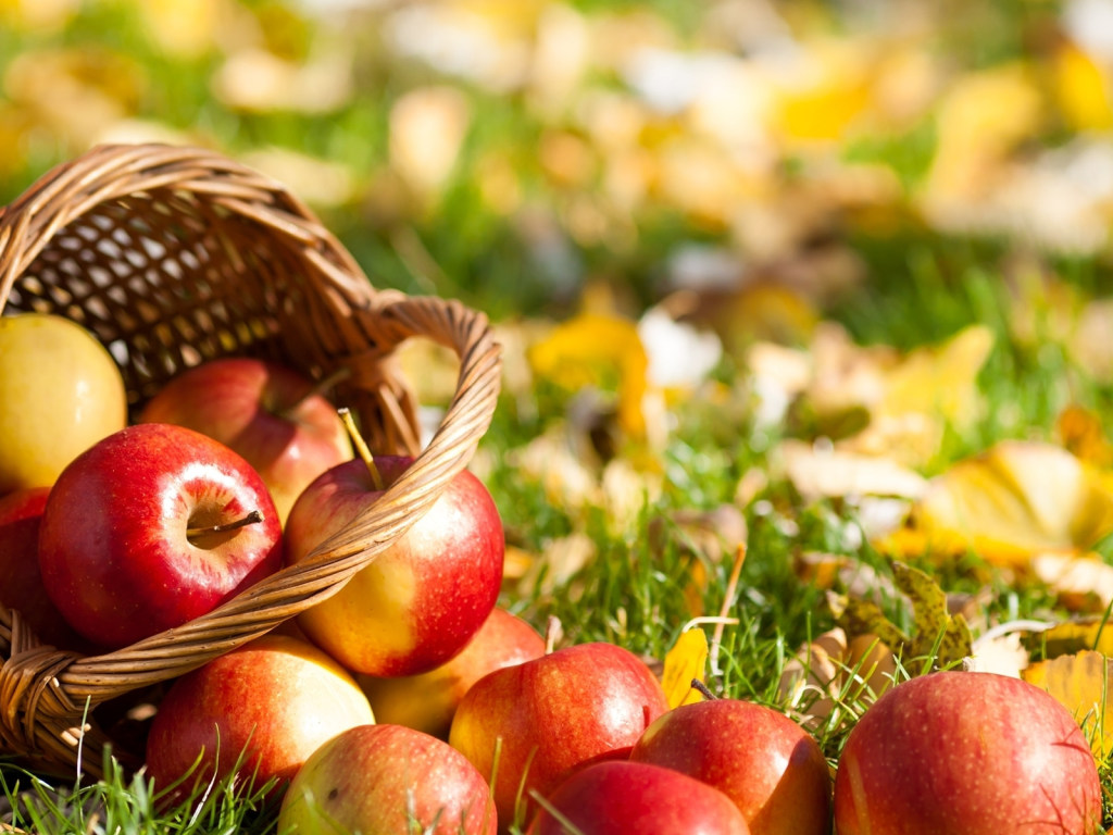 В Украине к осени рекордно подорожают яблоки и ягоды – эксперт