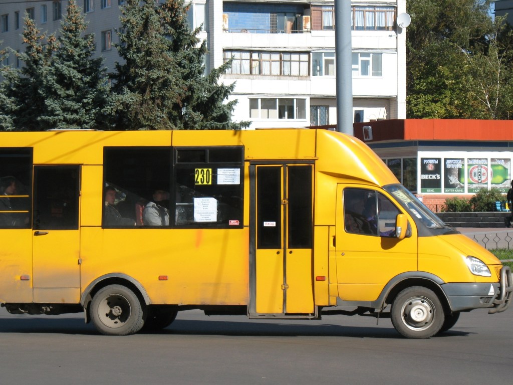 Усомнился в удостоверении: На Львовщине водитель маршрутки высадил мальчика из многодетной семьи (ФОТО)