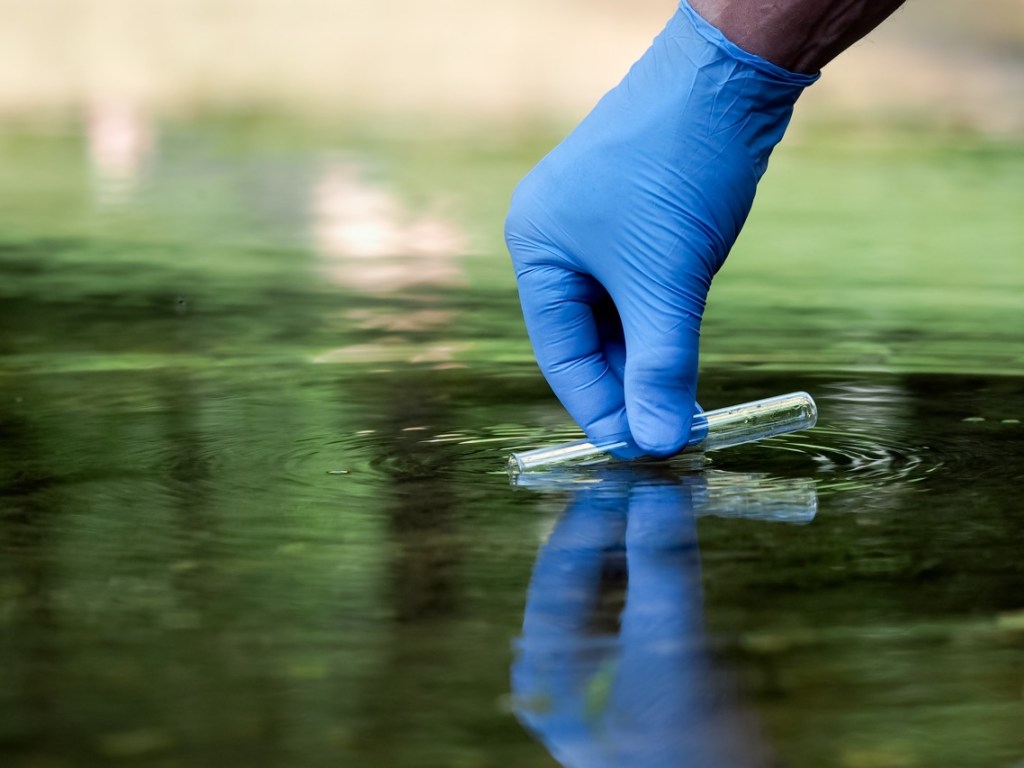На озерах «Тельбин» и «Радужное» превышено содержание опасных бактерий в воде &#8212; чиновник
