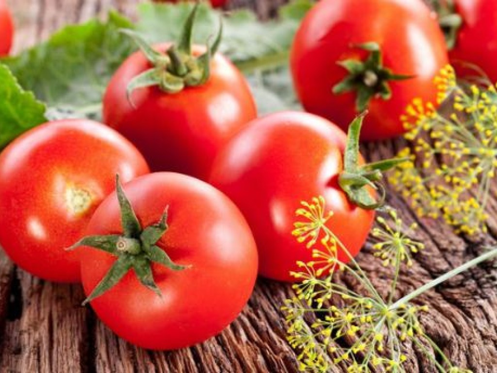 Плоды дачных помидоров нельзя собирать в течение 2-3 недель после обработки &#8212; эксперт