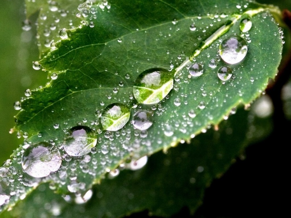 Синоптик: В воскресенье половину территории страны накроет грозовыми дождями