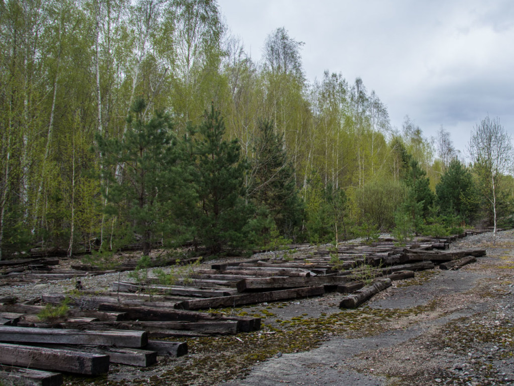 А. Чистяков: «Чернобыльская зона стала благодатным краем для браконьеров всех мастей»