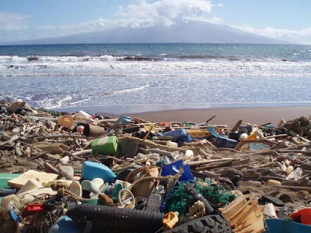 Через 15 лет Черное море превратится в мусорную свалку &#8212; экологи (ФОТО)