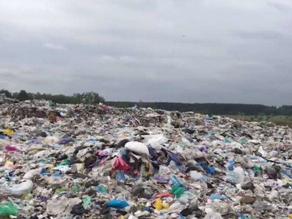 Экологи сообщили о ночных «мусорных караванах» под Киевом (ФОТО, ВИДЕО)