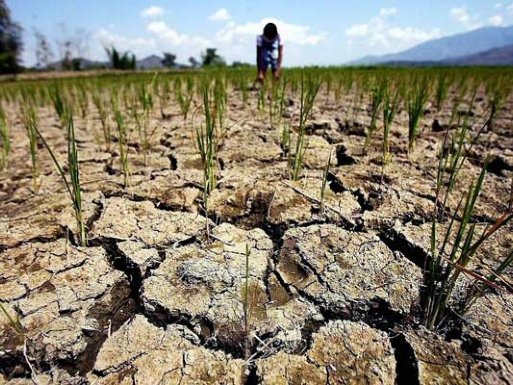 В последние 4 года  в Украине наблюдается проблема с засухой, когда почва превращается в асфальт – эксперт
