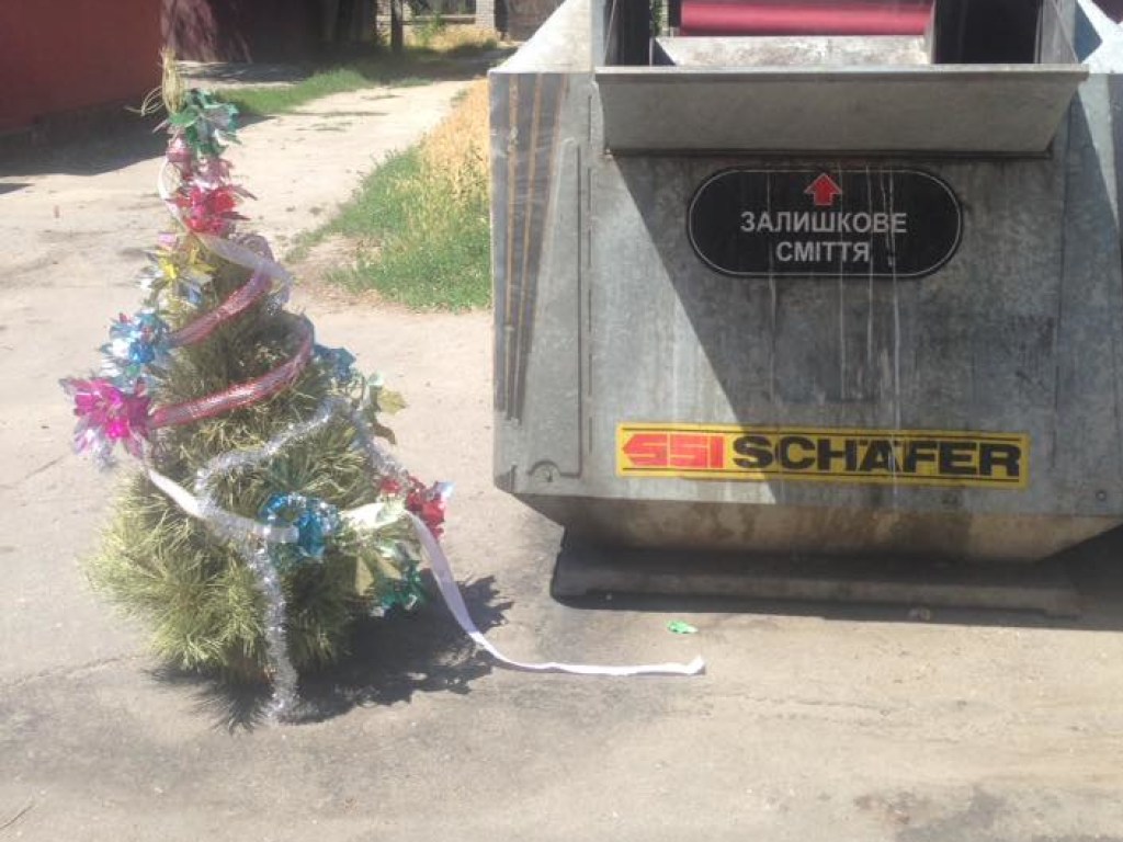 В Полтавской области побили рекорд по выносу из дому новогодней елки (ФОТО)