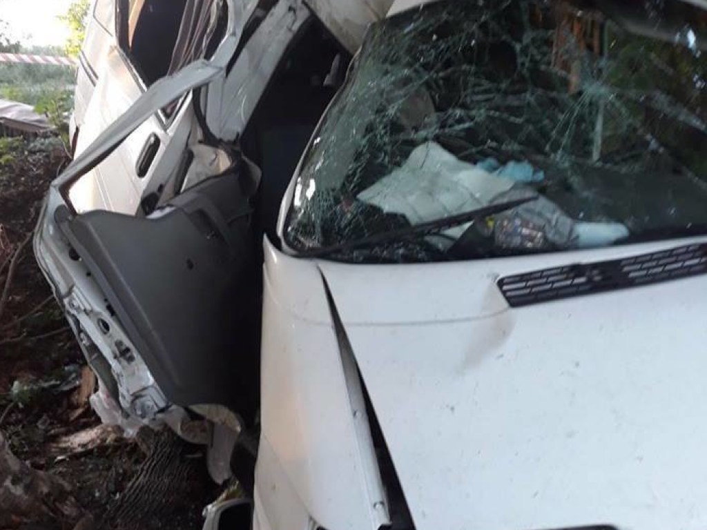 Под Киевом женщина за рулем микроавтобуса врезалась в дерево: муж погиб, двое детей попали в больницу (ФОТО)