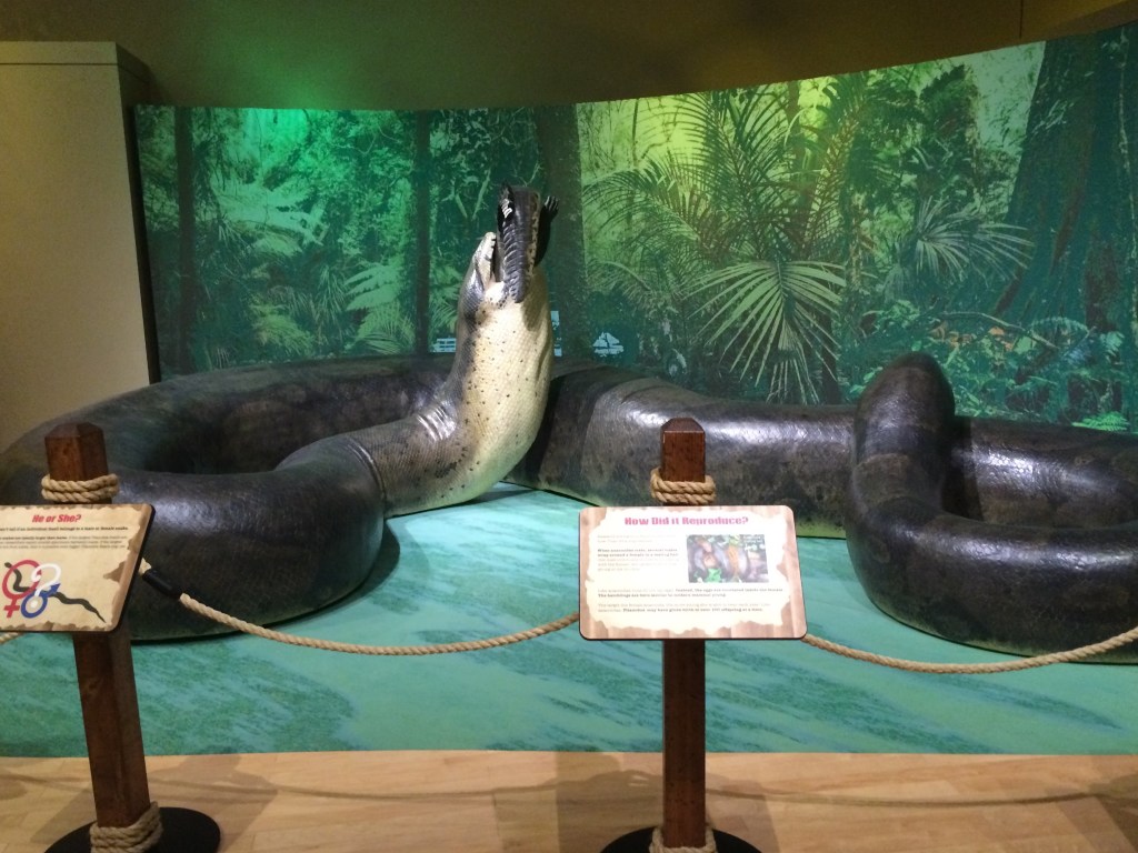 Древняя гигантская змея титан-боа могла поглотить современного слона – ученые